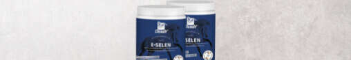 derby sortiment supplement filterbild derby sortiment supplement filterbild